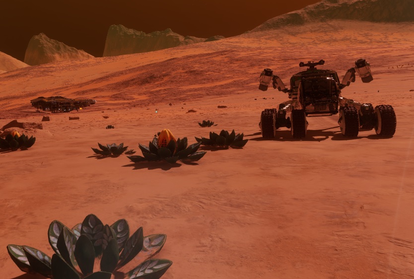 Fruit Plant.jpg