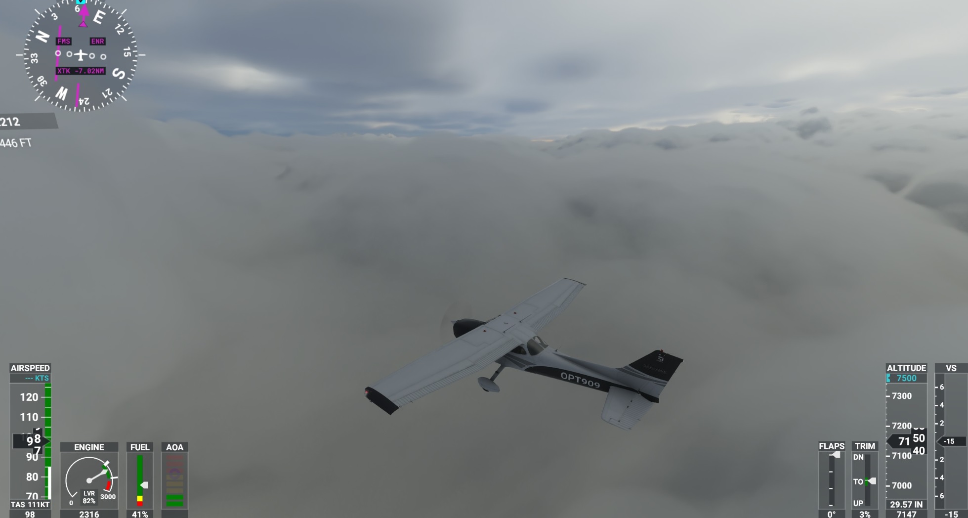 fs2.jpg