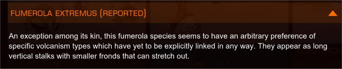 fumerola1.jpg