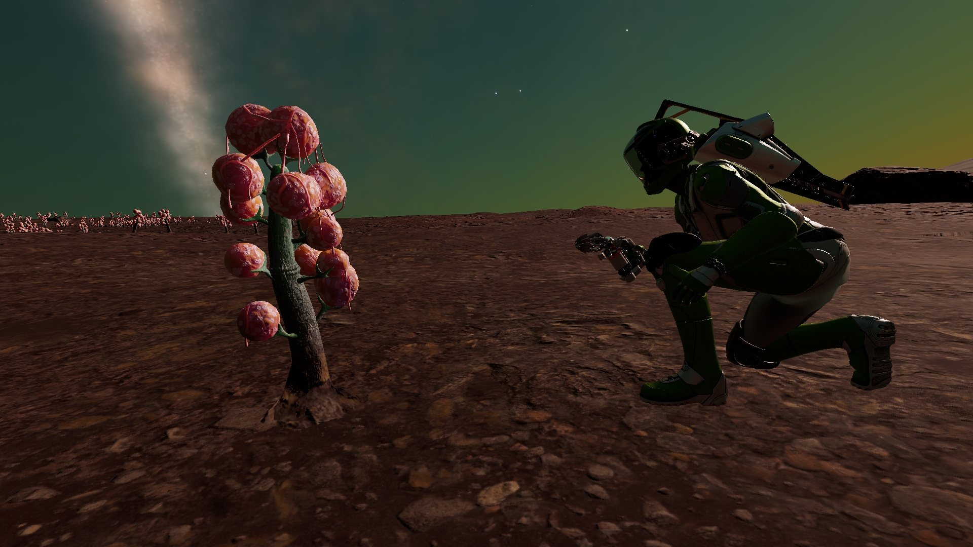 Fungoida Bullarum.jpg