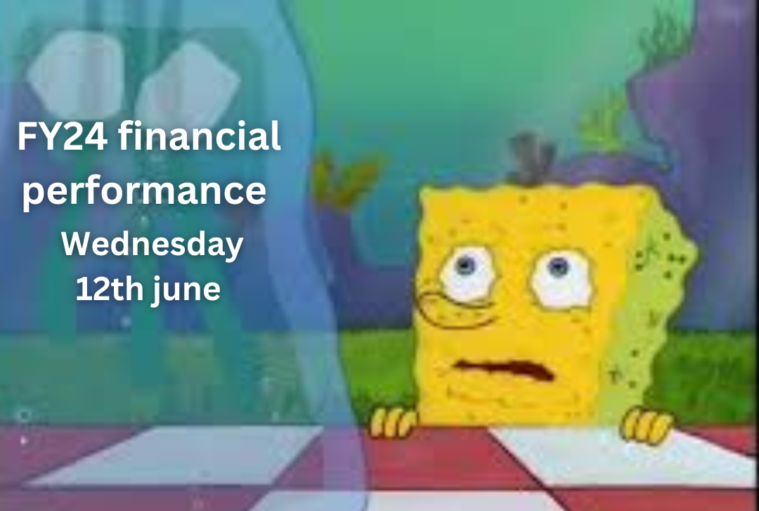 FY24 financial performance.png