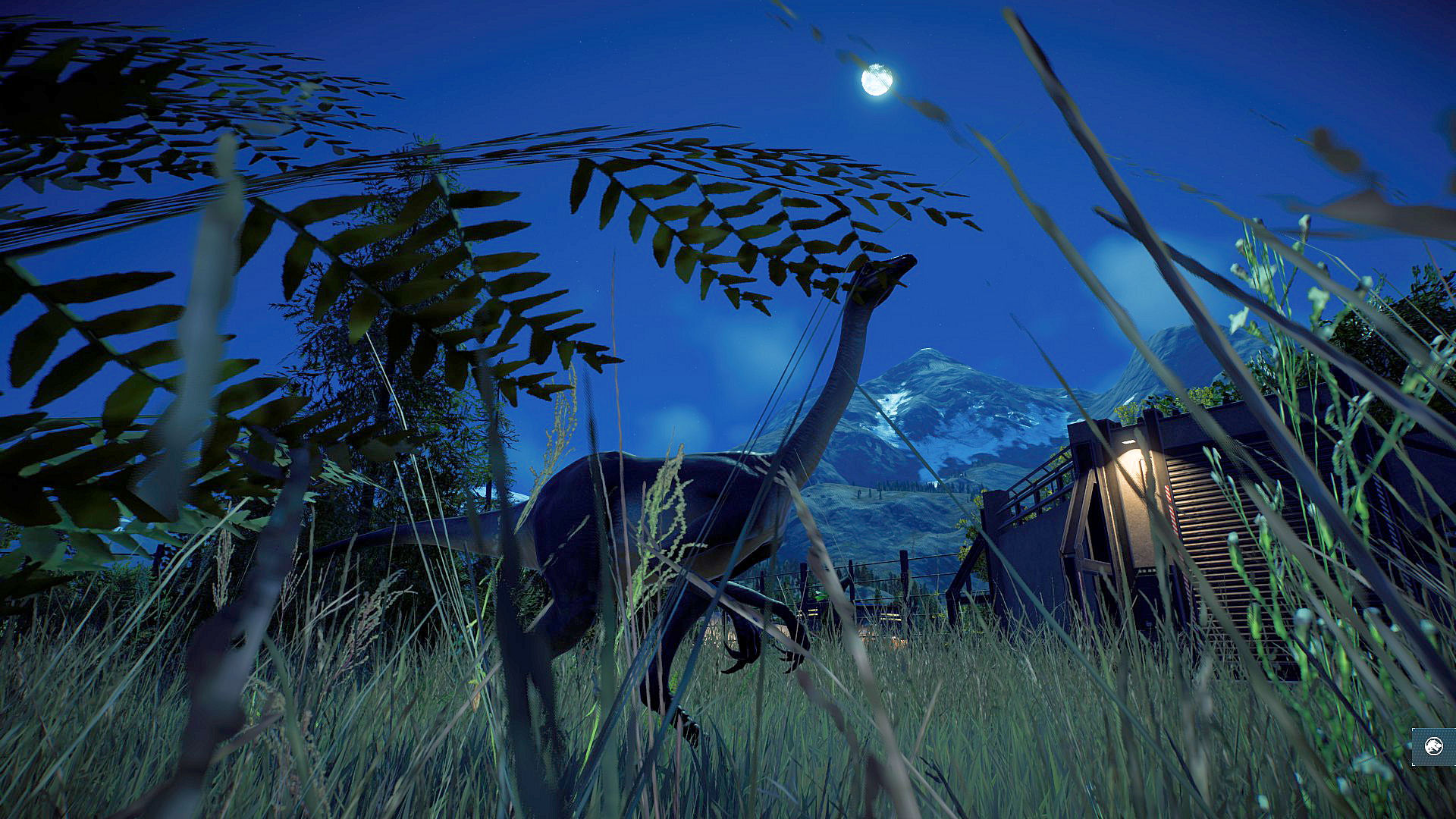 Gallimimus (1).jpg
