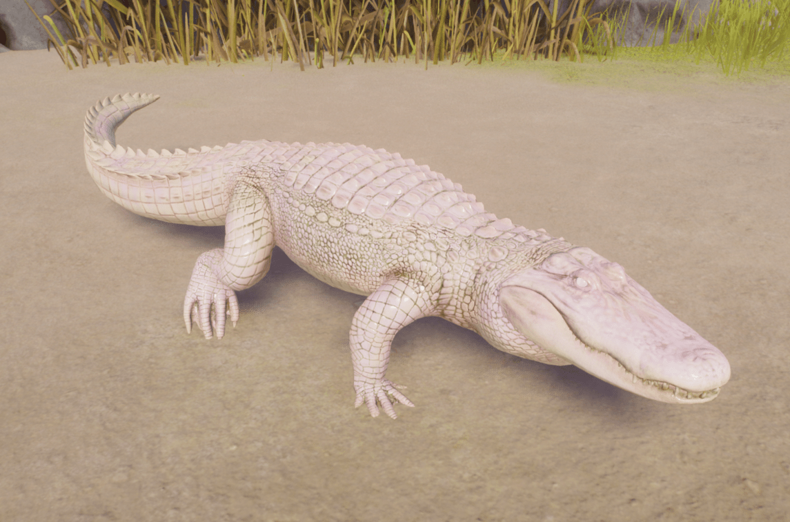 Gator.png