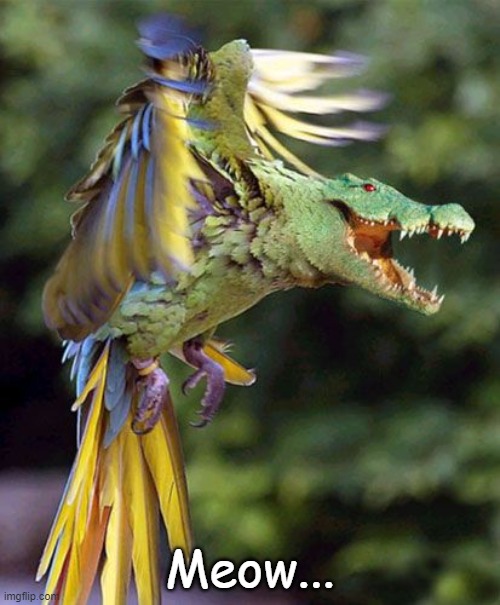gatorbird.jpg