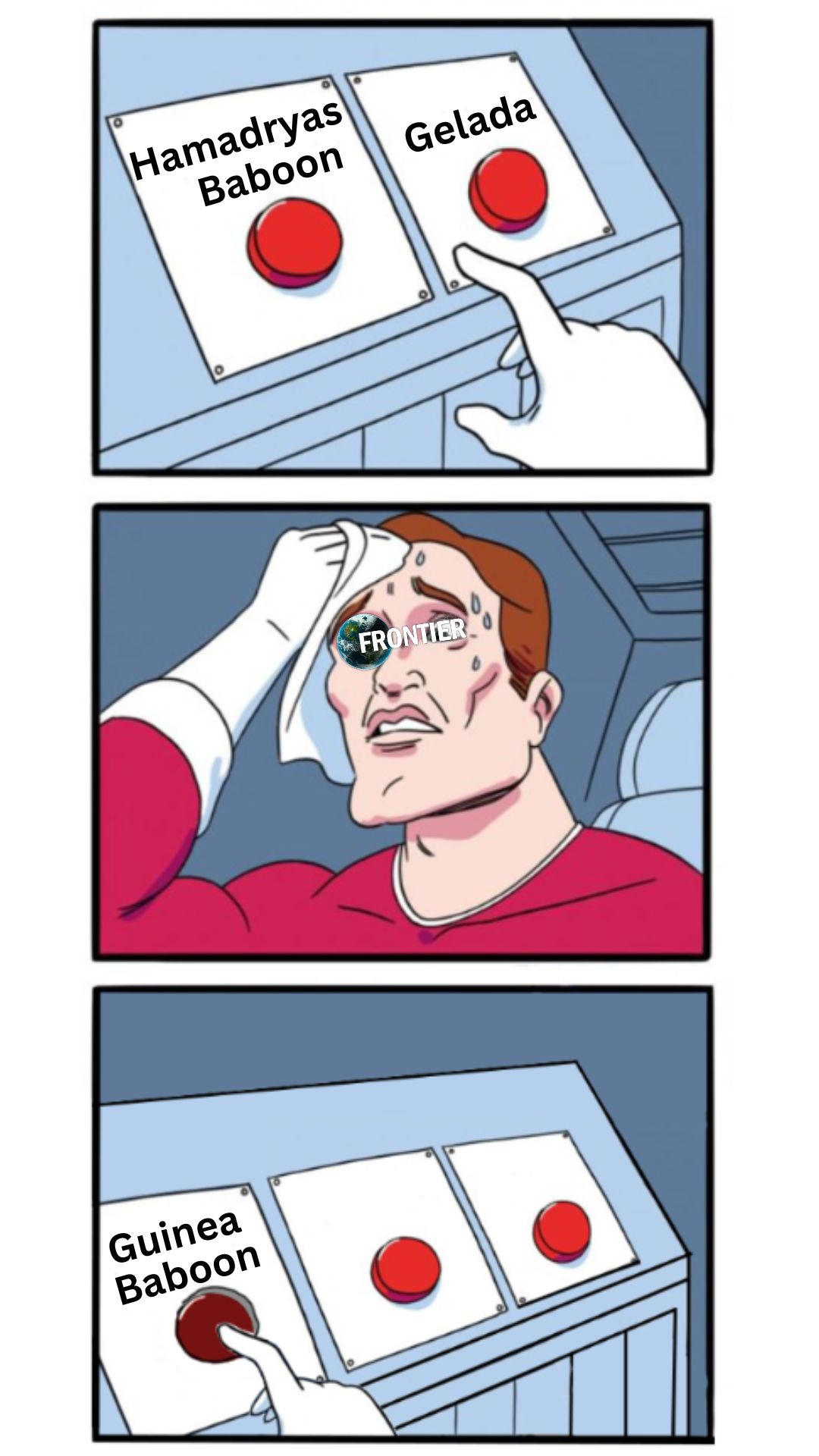 Gelada.jpg