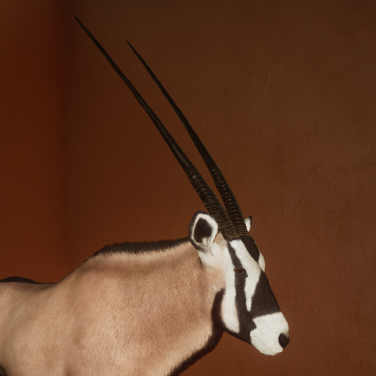 Gemsbok Avatar.png