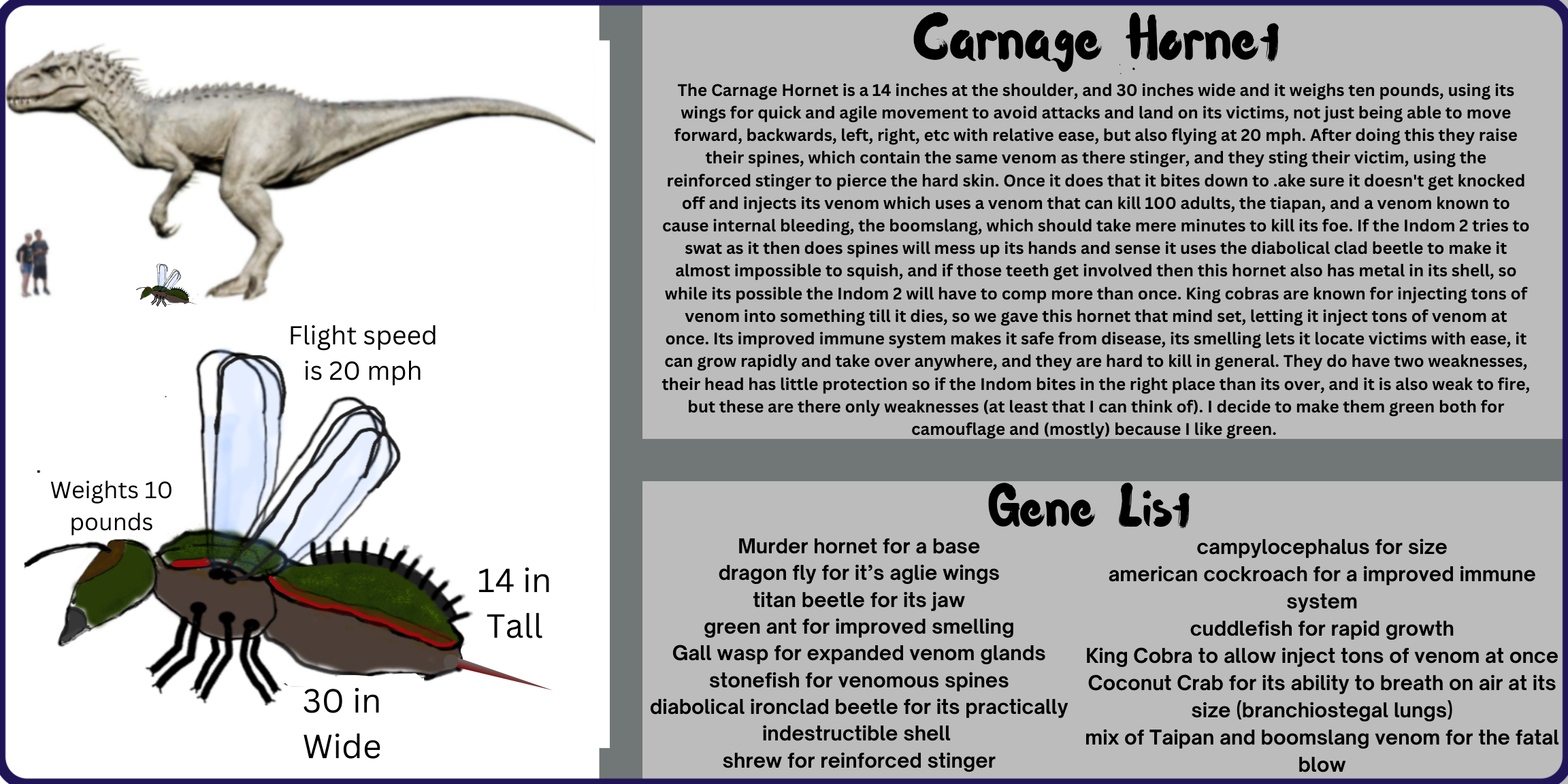 Gene List Murder hornet for a base dragon fly for its versatile and fast wi_20250122_102316_0000.png