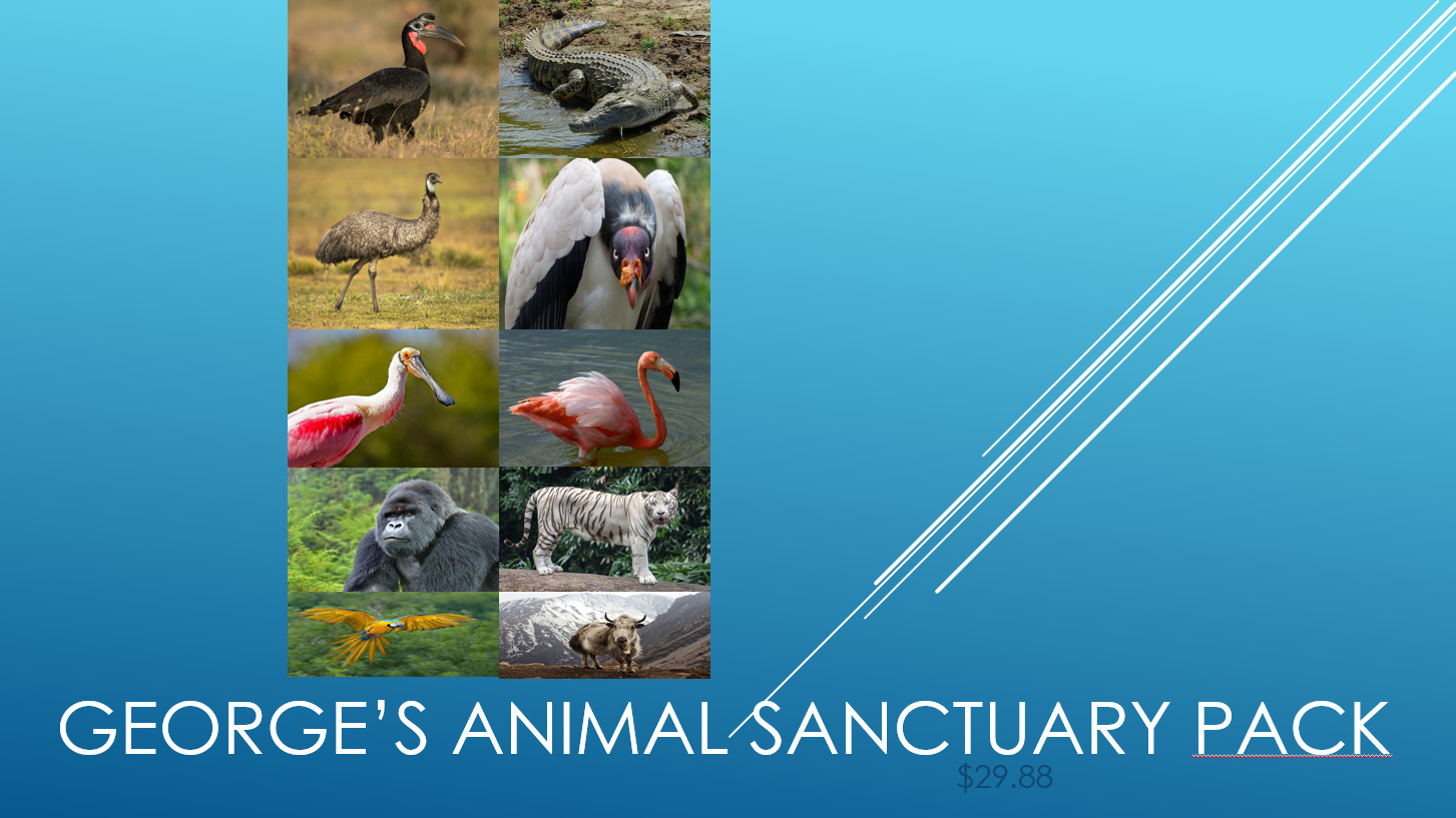 George's Animal Sanctuary Pack (UPDATED!).jpg