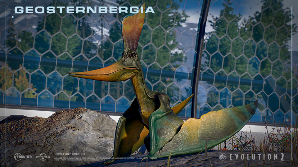Geosterbergia.jpg