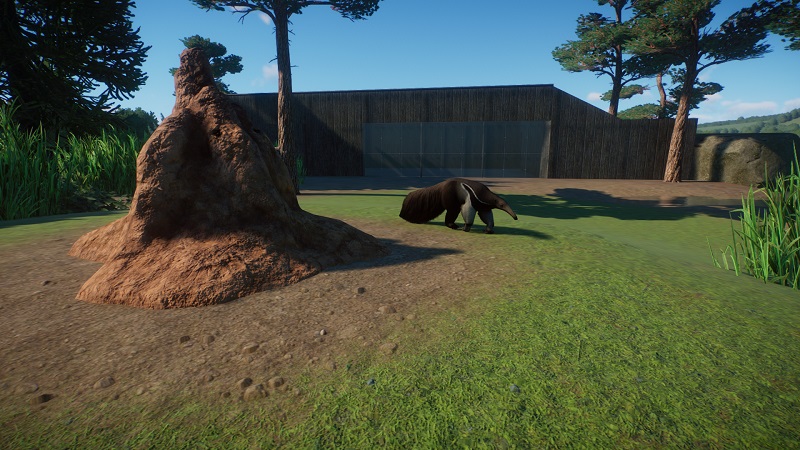 Giant anteater 5.jpg