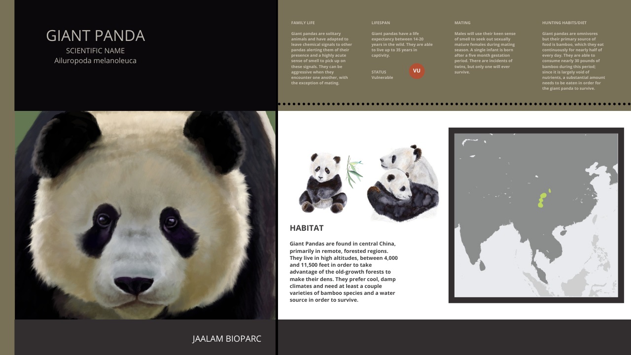 GIANT PANDA Interpretivedesign009.jpg