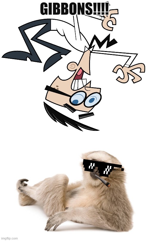 Gibbons!!!.jpg