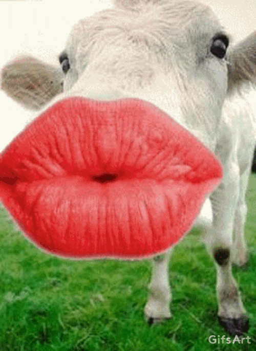 gifs-2020-15.gif