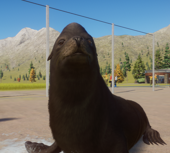GIGACHAD Sea Lion.png