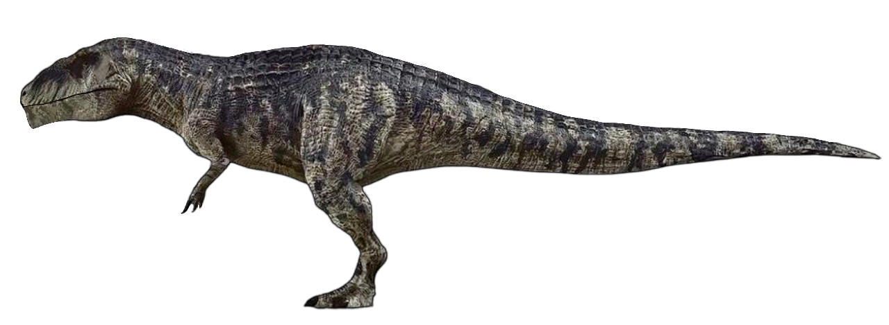 giganotosaurus__by_draco_awesomeness_dk3ieso.png