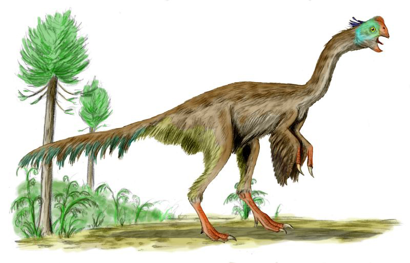Gigantoraptor.png