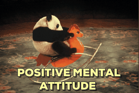 giphy (1).gif