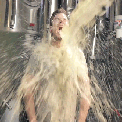giphy (12).gif