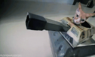 giphy (12).gif