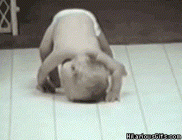 giphy (12).gif
