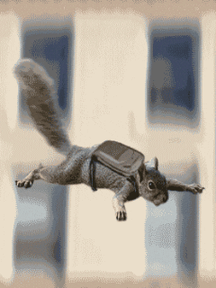 giphy (2).gif