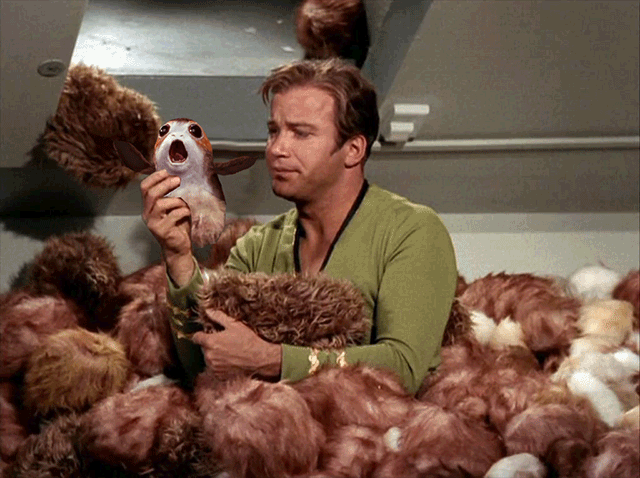 giphy (2).gif