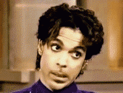 giphy (2).gif