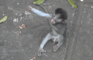 giphy - 2020-04-08T145612.328.gif