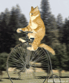 giphy (4).gif