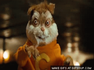 giphy (4).gif