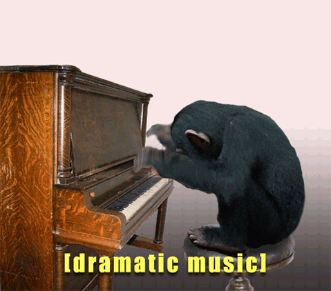 giphy (4).gif