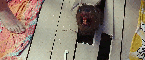 giphy (6).gif