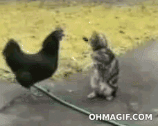 giphy (6).gif
