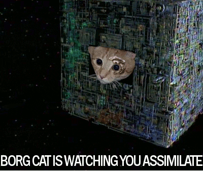 giphy (7).gif