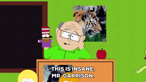 giphy.gif