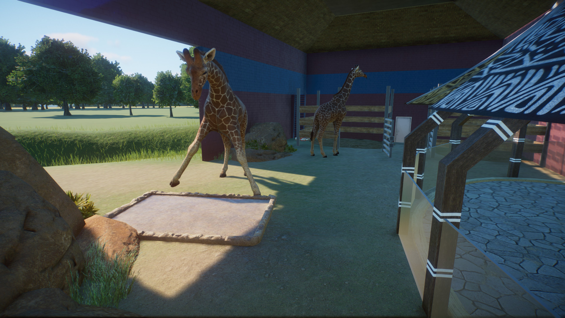 giraffe.jpeg