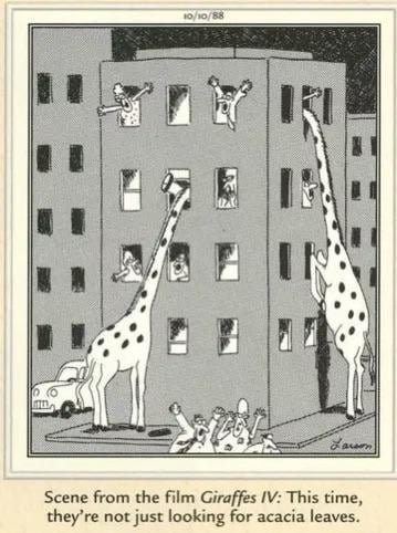 giraffes-iv-v0-epptkrnxknld1.jpeg