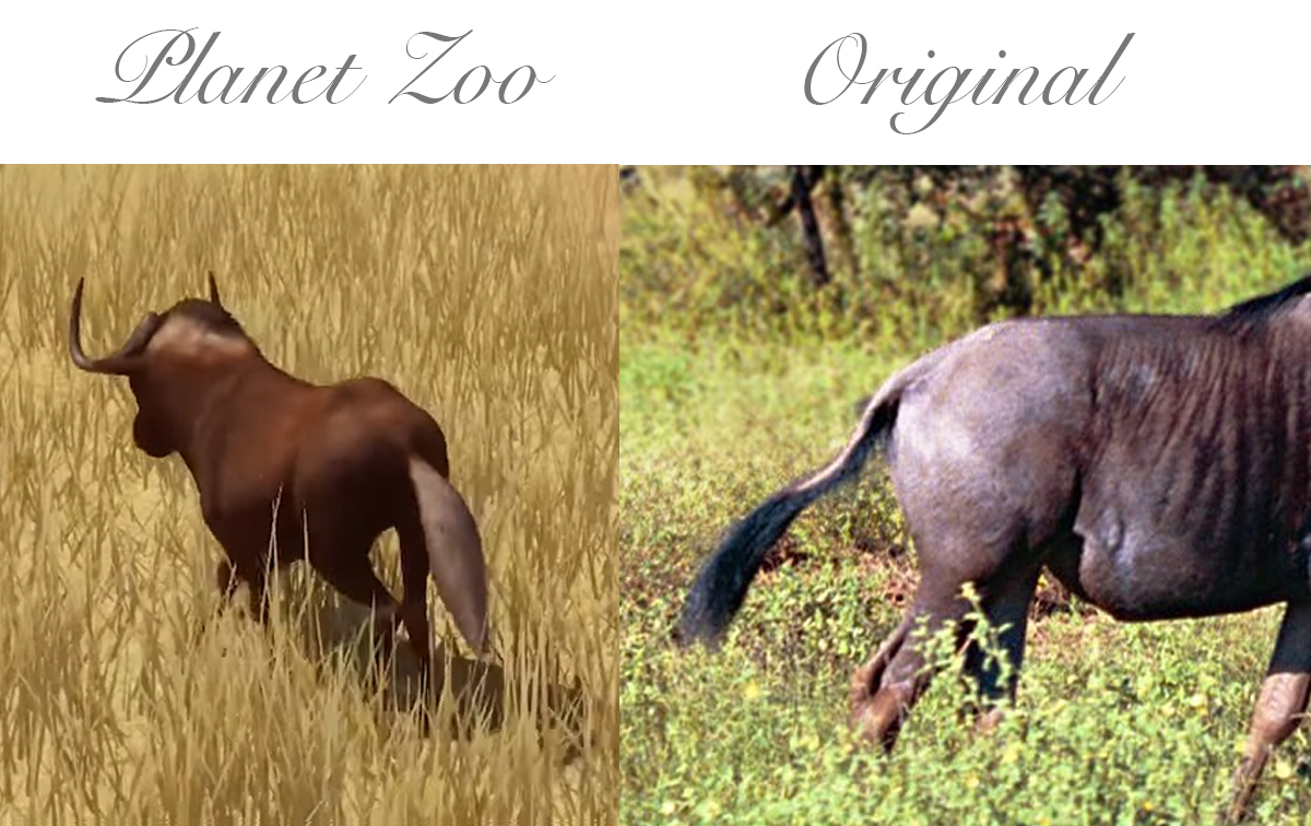 Gnu.jpg