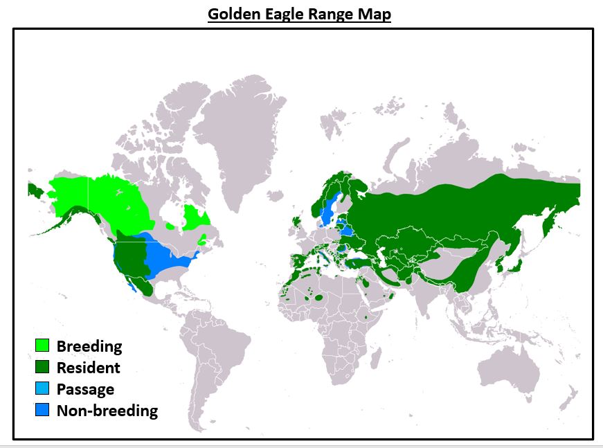 golden-eagle-rangemap-europe.jpg