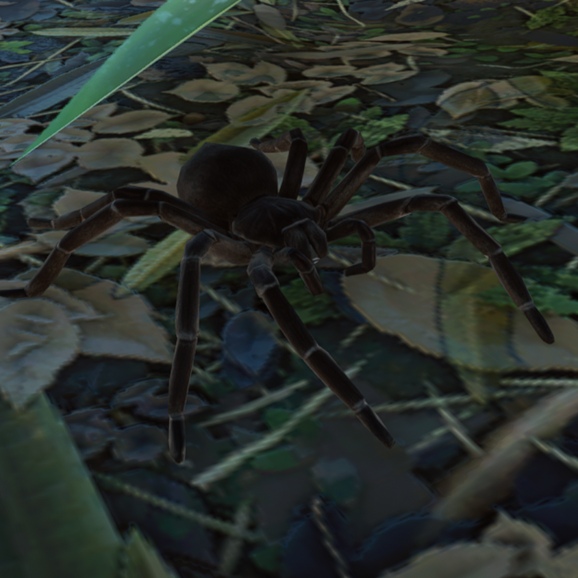 Goliath Birdeater Avatar.png