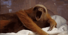 good-night-sleepy-head.gif