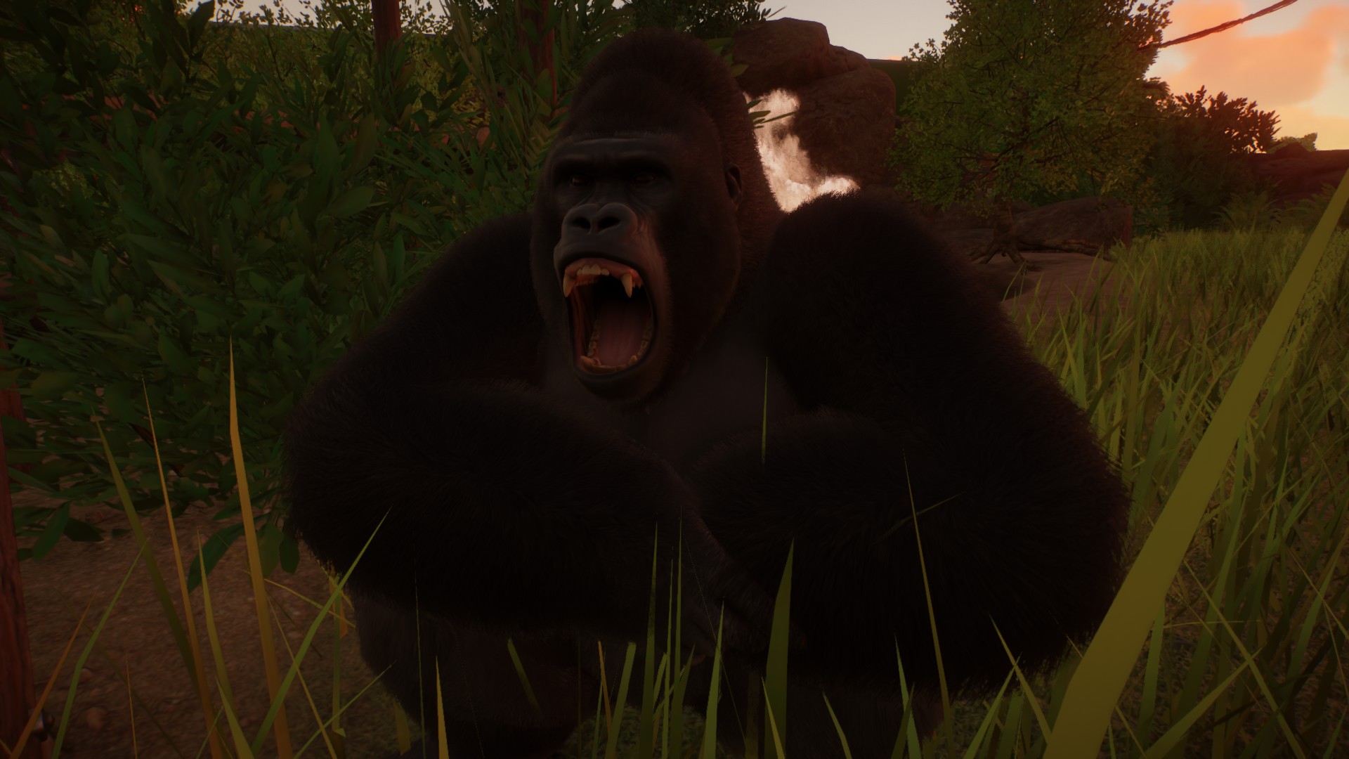 gorilla 2.jpg
