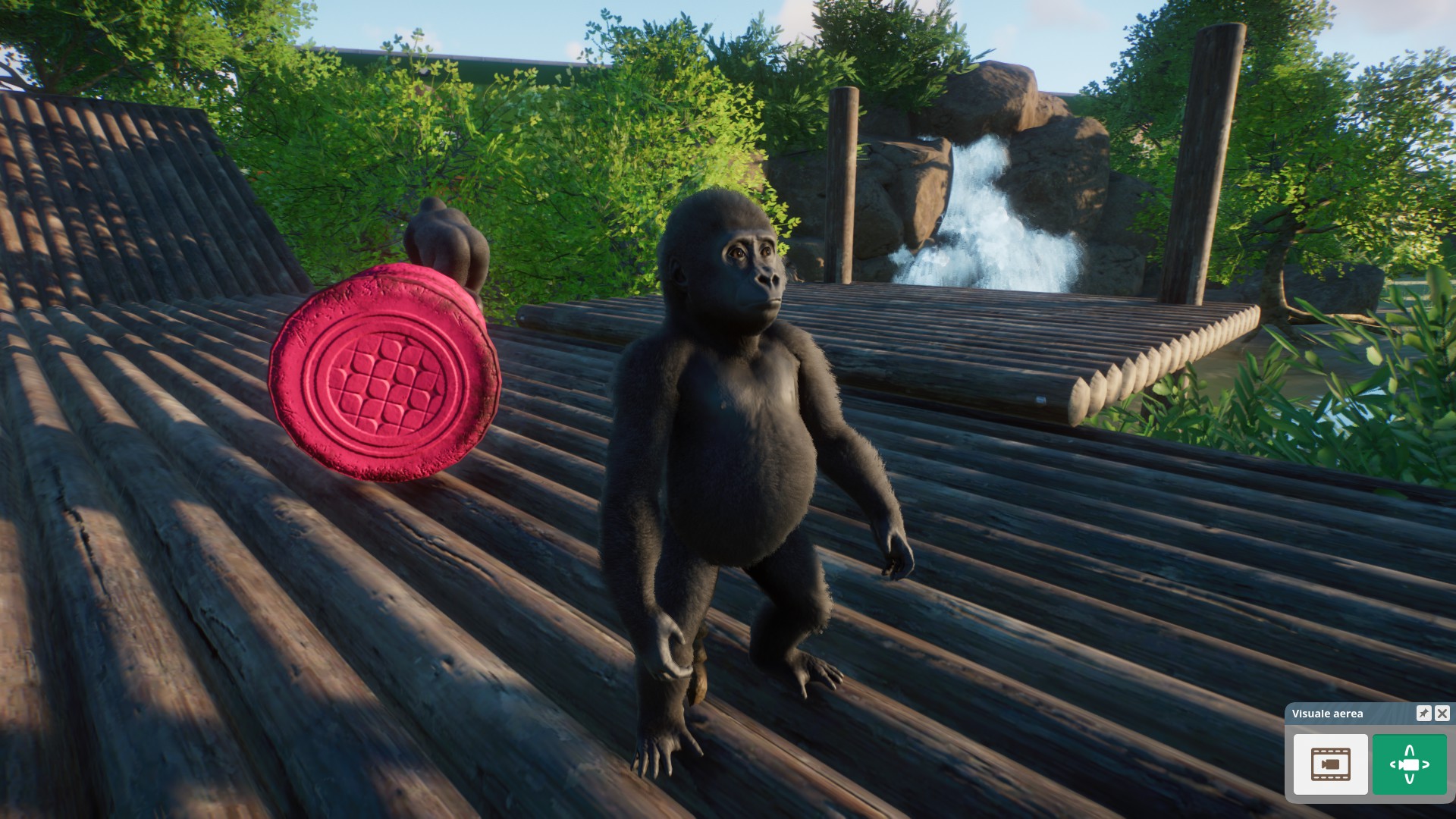 gorilla 3.jpg