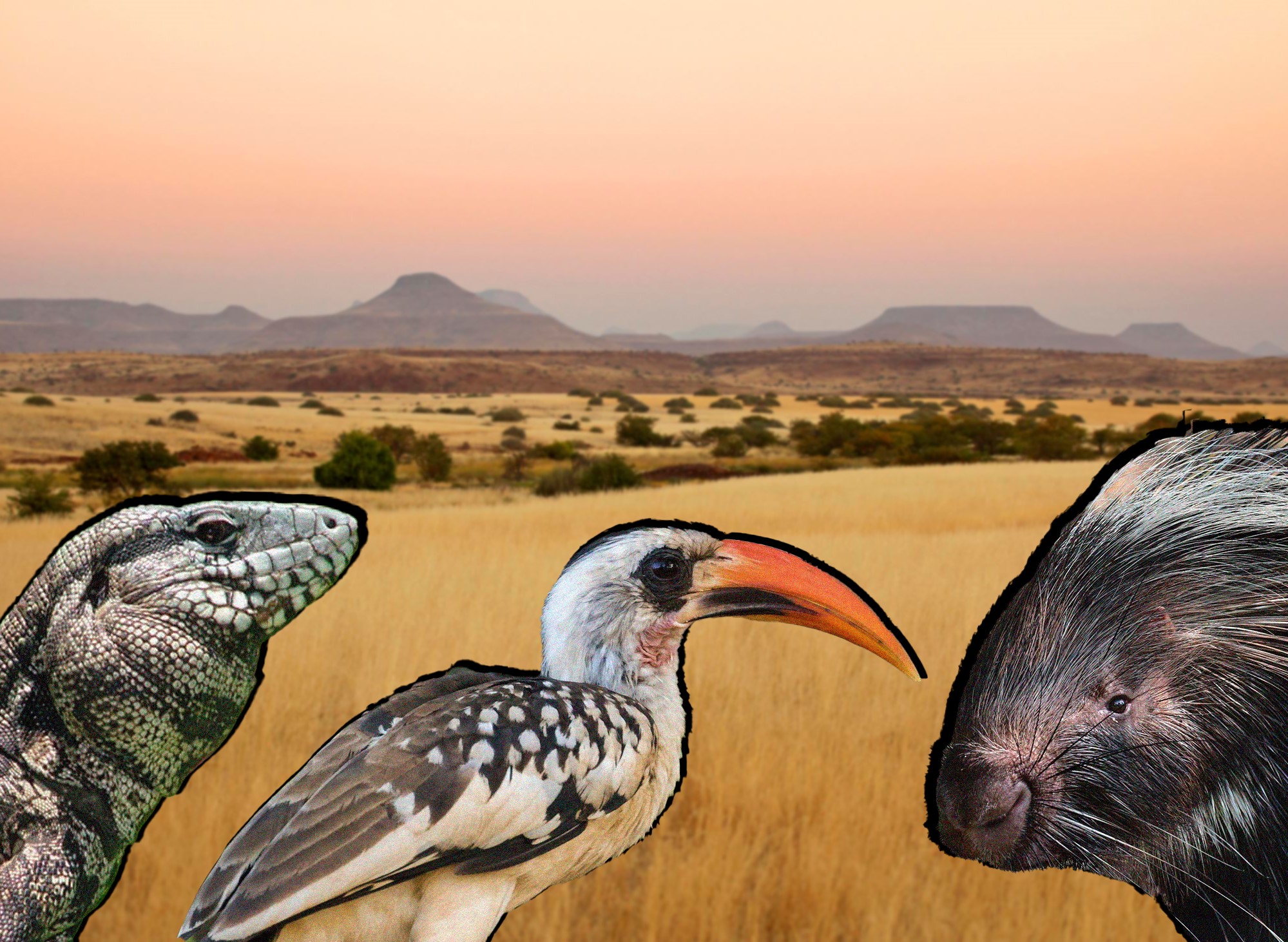 grassland-wishlist.jpg