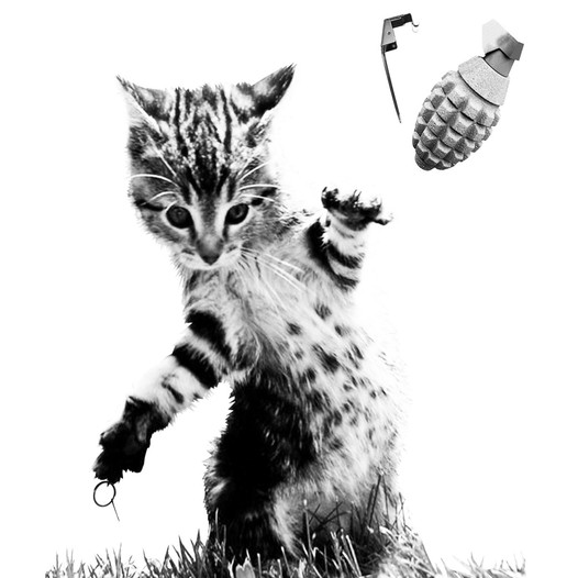 Grenade Cat.jpg