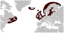 Grey_Seal_Halichoerus_grypus_distribution_map.png
