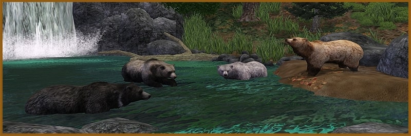 grizzly1.jpg