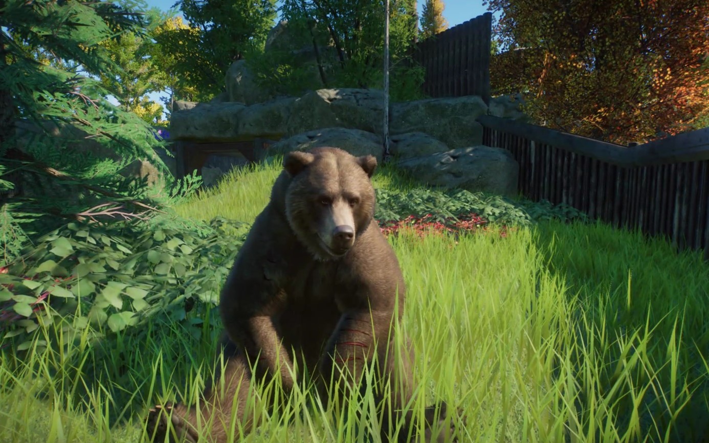 Grizzly3.jpg