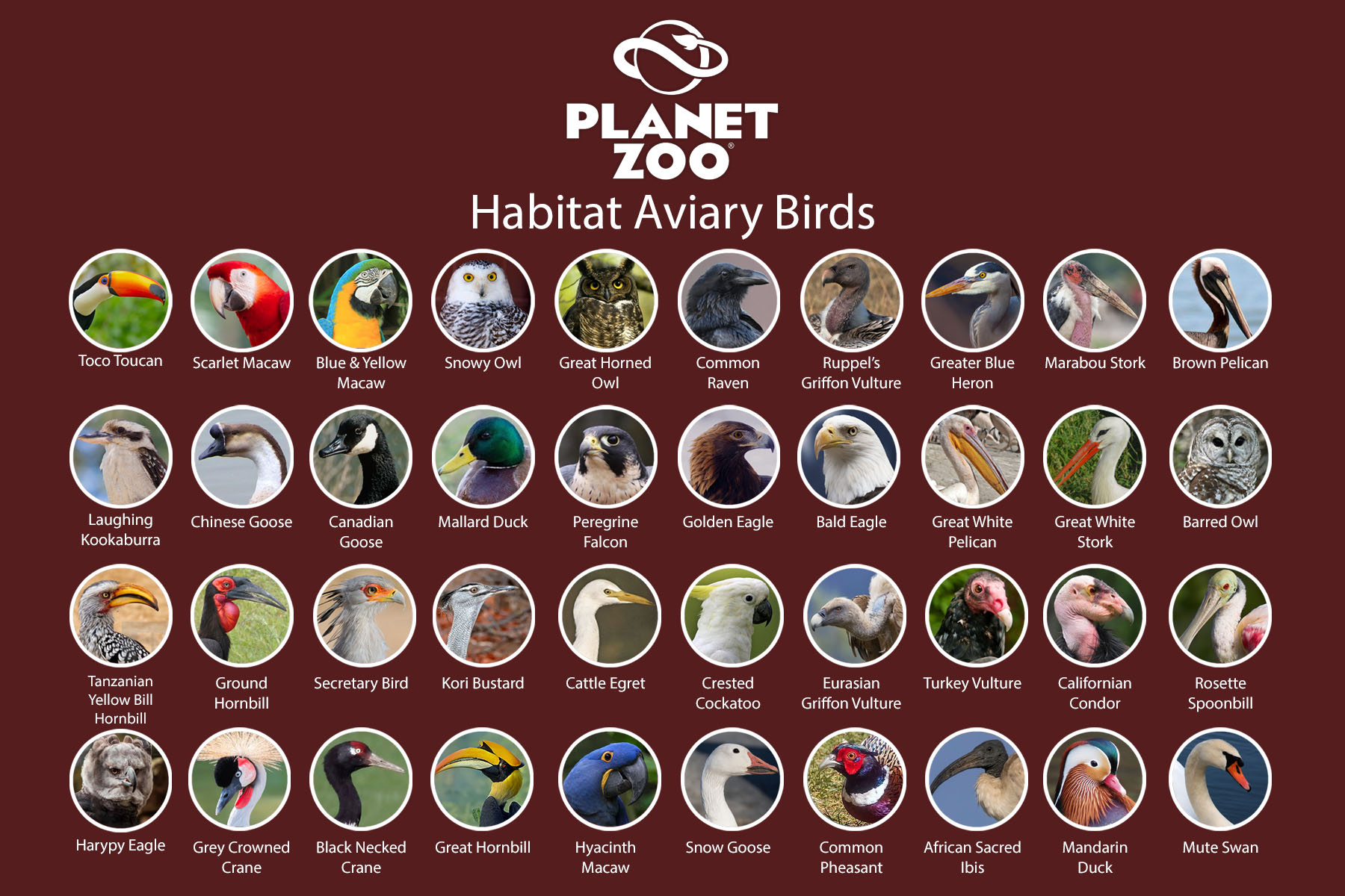 Habitat Aviary Birds.jpg