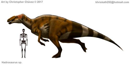hadrosaurus_sp__by_christopher252_dbq1suh-250t (1).jpg
